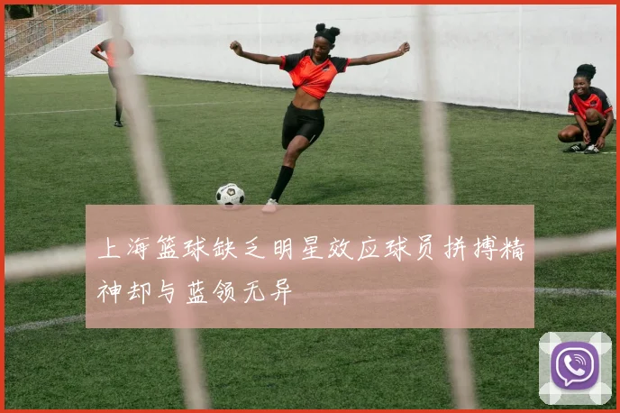 上海篮球缺乏明星效应球员拼搏精神却与蓝领无异